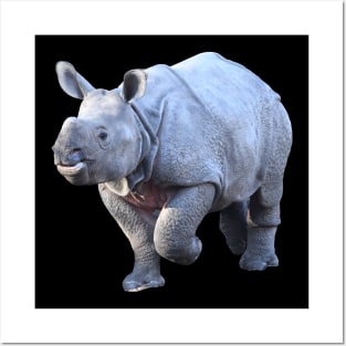 Baby Rhinoceros Posters and Art